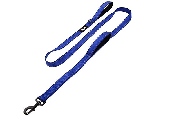 Dual-Handle Bungee Leash with Reflective Stitching