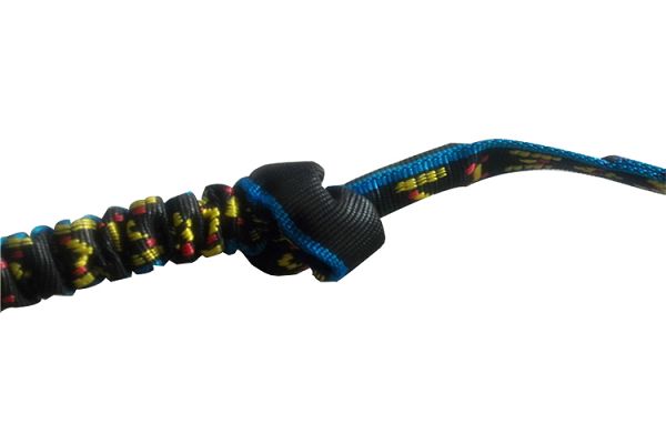 bungee dog leash